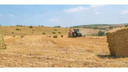 שדה תבואה לאחר קציר, סמוך לכפר קיש. | איתי בודל, מתוך הספר "ישראל במבט פנורמי" il.co israelbooks.www