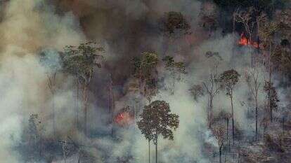 השרפה ביערות האמזונס. | AFP