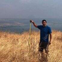 דניאל וקנין, רכז קהילה ושביל סובב כינרת ברשות הכינרת, מודד את גובה החצבים. | רשות הכנרת