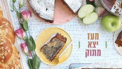 אפרת ליכטנשטט אפרת ליכטנשטט