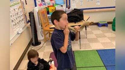 הכנות בניו בניו זילנד. | תום רוקמן אריאלי. באדיבות: מכון שטראוס עמיאל, רשת אור תורה סטון הכנות בניו בניו זילנד. | תום רוקמן אריאלי. באדיבות: מכון שטראוס עמיאל, רשת אור תורה סטון