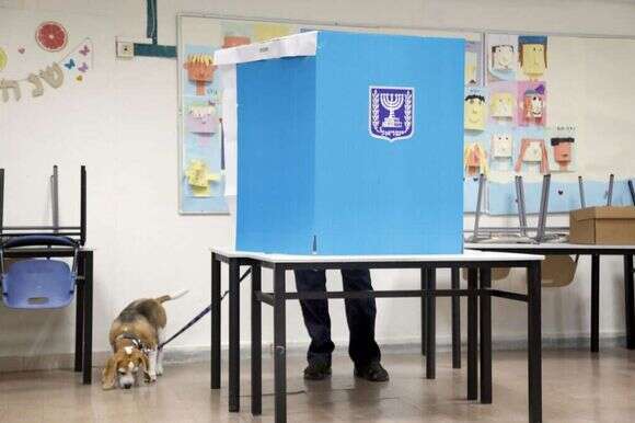 מצביע בתל-אביב | גדעון מרקוביץ