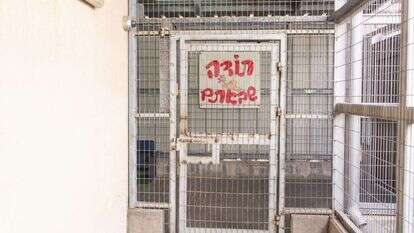 כלא רימונים | אבישג שאר-ישוב כלא רימונים | אבישג שאר-ישוב