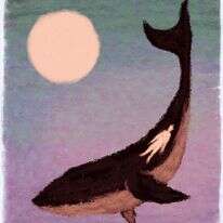 איור: מנחם הלברשטט