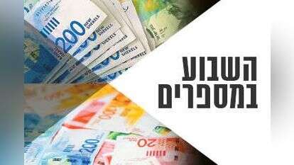 צילומים: שאטרסטוק