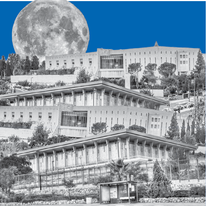 צילומים: שאטרסטוק
