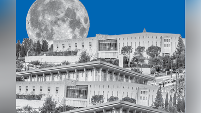 צילומים: שאטרסטוק