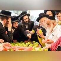 שוק ארבעת המינים. אילוסטרציה. | שאטרסטוק