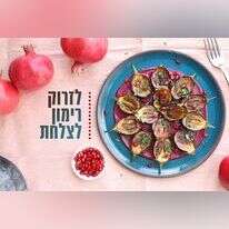 אפרת ליכטנשטט אפרת ליכטנשטט