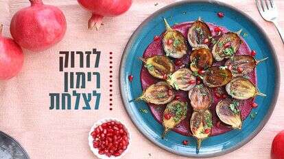 אפרת ליכטנשטט