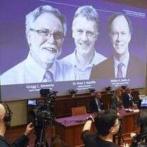 ההכרזה על שלושת הזוכים בפרס נובל לרפואה. | EPA