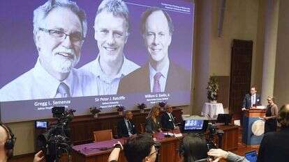 ההכרזה על שלושת הזוכים בפרס נובל לרפואה. | EPA ההכרזה על שלושת הזוכים בפרס נובל לרפואה. | EPA