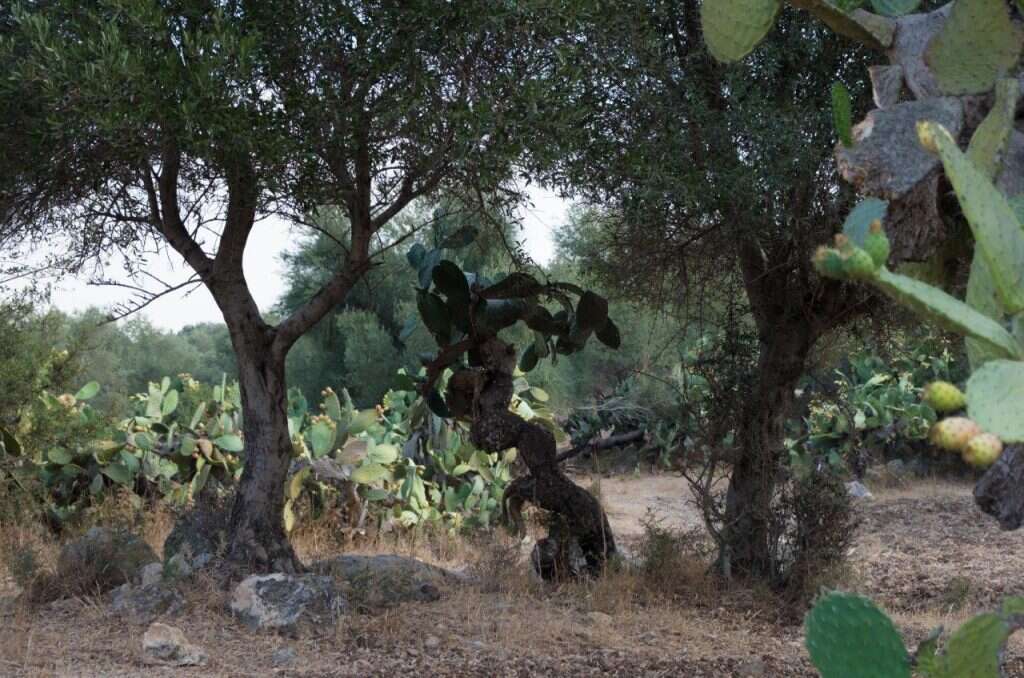 אמנם החיים הם הבל, אך הרגע הזה קיים, ויש למצות אותו. | אהרון קריצר, מתוך הסדרה 'אני - אתה - צבר', 2017