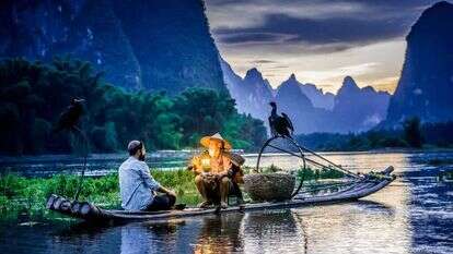 קרדיט: מאיר אלפסי