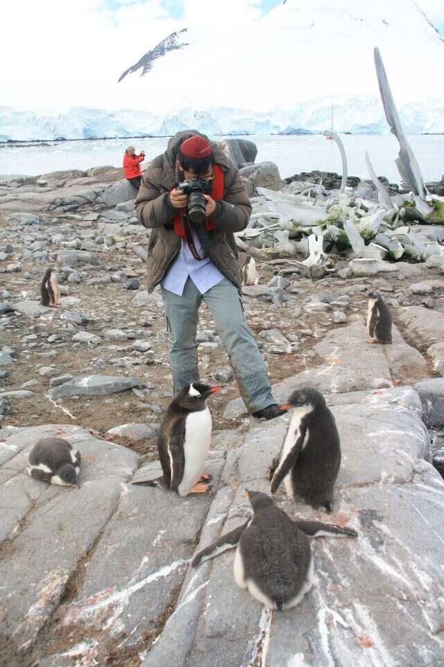 המסע לא באמת נגמר. אלפסי בקוטב הדרומי. קרדיט: מאיר אלפסי