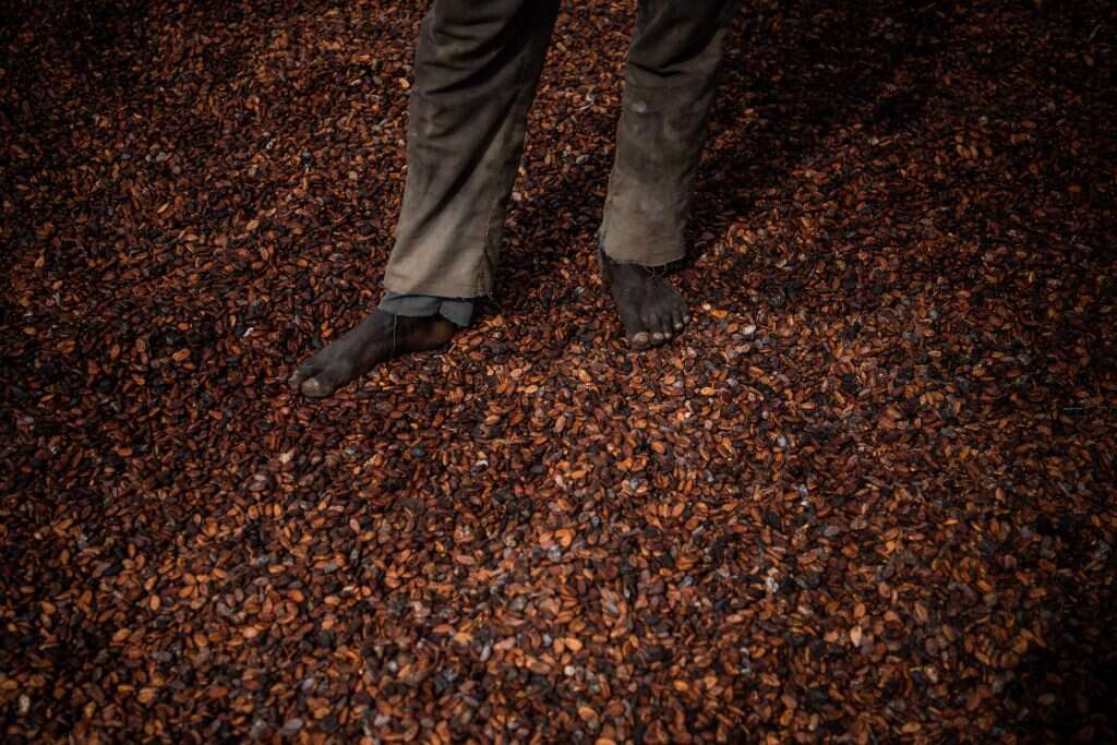 פולים מיובשים. | סלואן ז'ורז'ס עבור הוושינגטון פוסט פולים מיובשים. | סלואן ז'ורז'ס עבור הוושינגטון פוסט