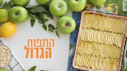 אפרת ליכטנשטט