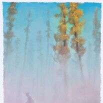 איור: מנחם הלברשטט