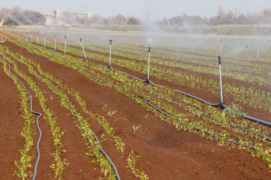 מערכת טפטפות. | אנצ'ו ג'וש, ג'יני