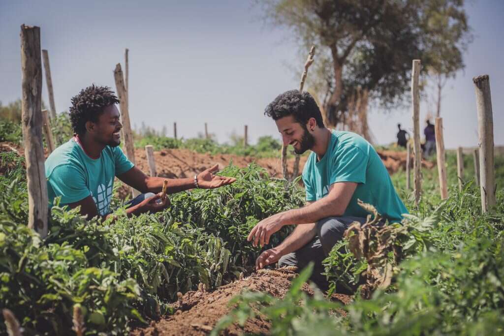 מתנדבי "פייר פלאנט" באתיופיה. | ליאור ספרנדאו