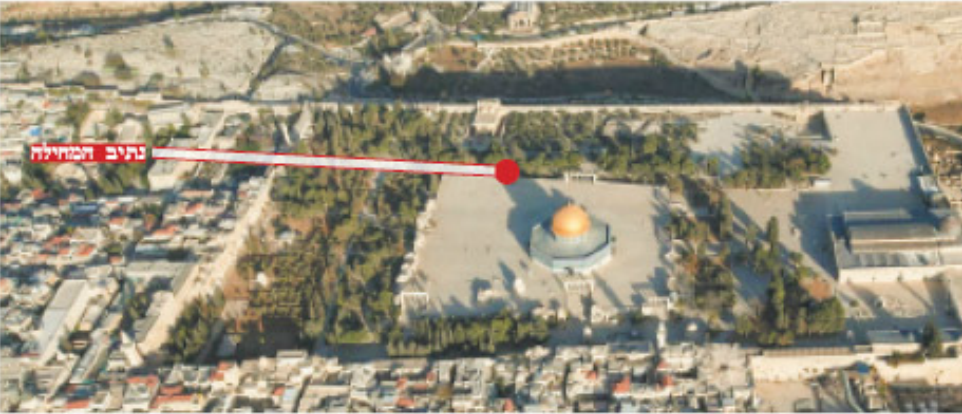 נתיב המחילה. | מרים צחי