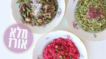 אפרת ליכטנשטט