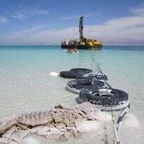 באדיבות פרופ' מוטי שטיין באדיבות פרופ' מוטי שטיין