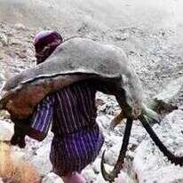 ציד יעלים לא חוקי