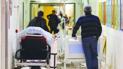 בית החולים שערי צדק. אילוסטרציה. | אורן בן חקון בית החולים שערי צדק. אילוסטרציה. | אורן בן חקון