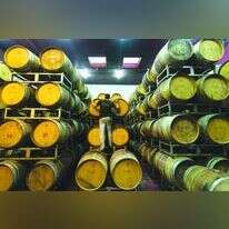 חביות יישון ביקב פסגות. | דודי ועקנין