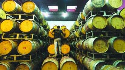 חביות יישון ביקב פסגות. | דודי ועקנין