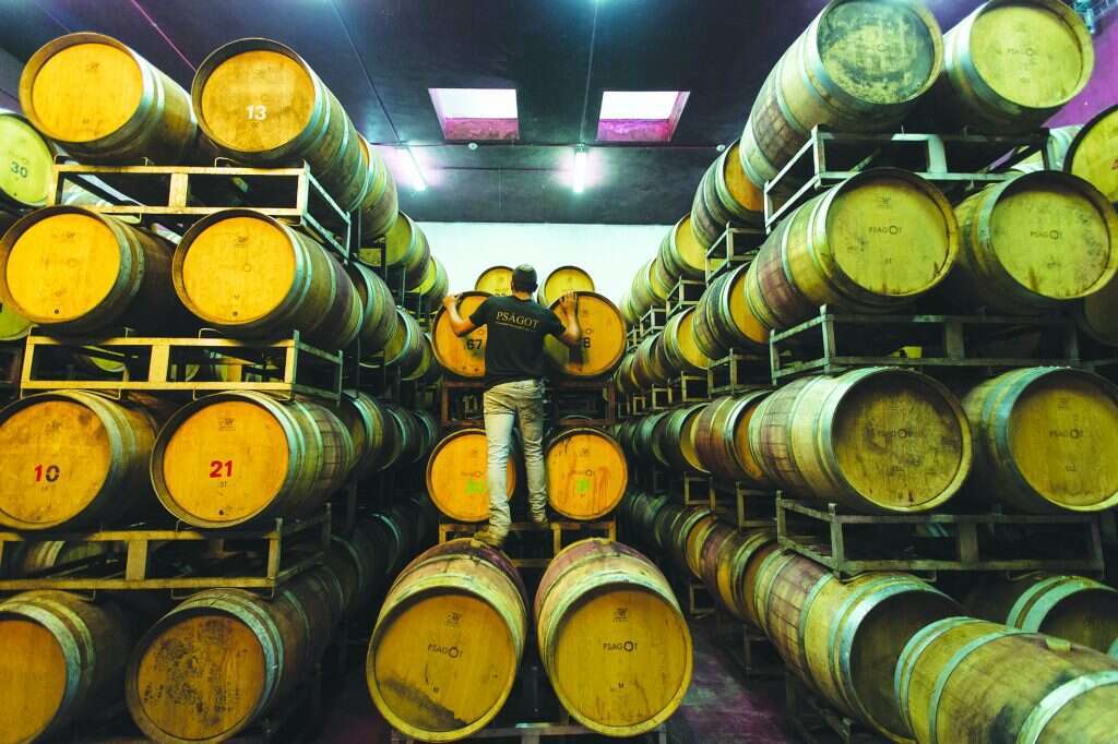 חביות יישון ביקב פסגות. | דודי ועקנין