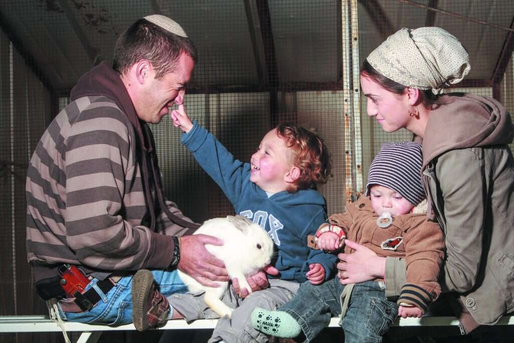 משפחת מילר והארנב. | מרים צחי