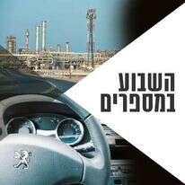 צילומים: AFP, שאטרסטוק