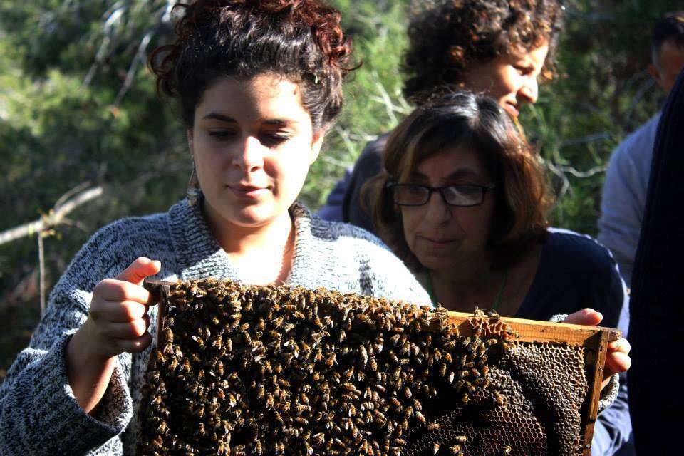 בסדנת גידול דבורים ביו־דינמית. | המרכז לדבוראות עירונית