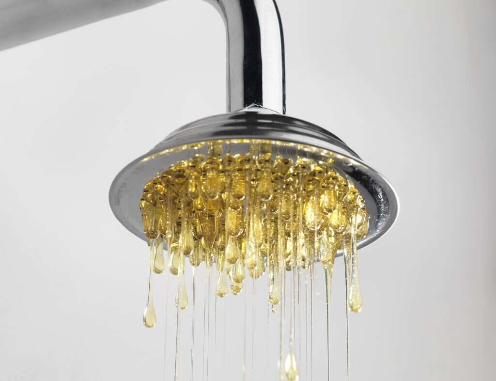 השראה מטקסים וחגים. מקלחת הדבש. | אלי פוזנר