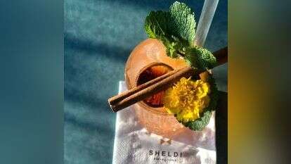 "שלדי". | אמיר מנחם וטל ציפורן