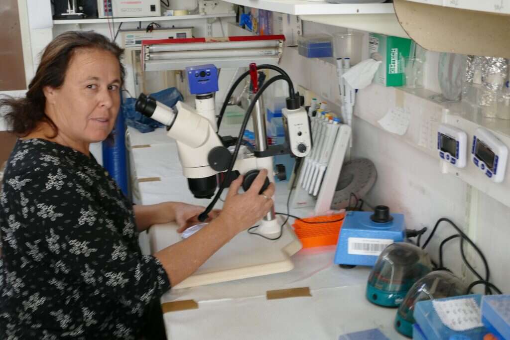 ד"ר עינת צחורי־פיין. | המכון הוולקני