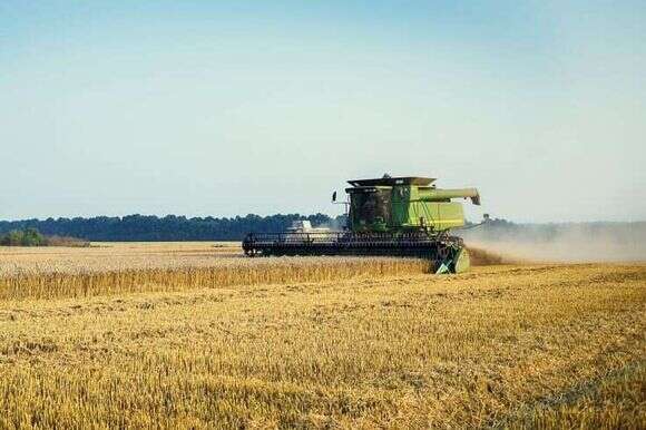 סין משקיעה מיליארדי דולרים ברכישת קרקעות בלמעלה ממאה מדינות זרות. שדות חיטה באוקראינה. | שאטרסטוק