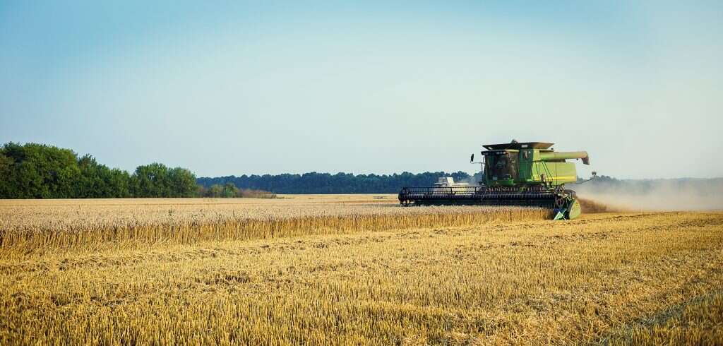 סין משקיעה מיליארדי דולרים ברכישת קרקעות בלמעלה ממאה מדינות זרות. שדות חיטה באוקראינה. | שאטרסטוק