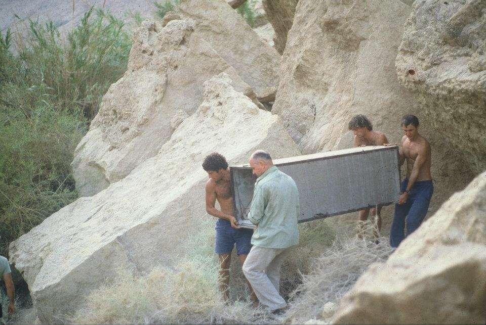 הסוואה מדברית ויופי מהמם חושים. הנמרה תיהמת. | יוסי אוד, מתוך אתר פיקיוויקי