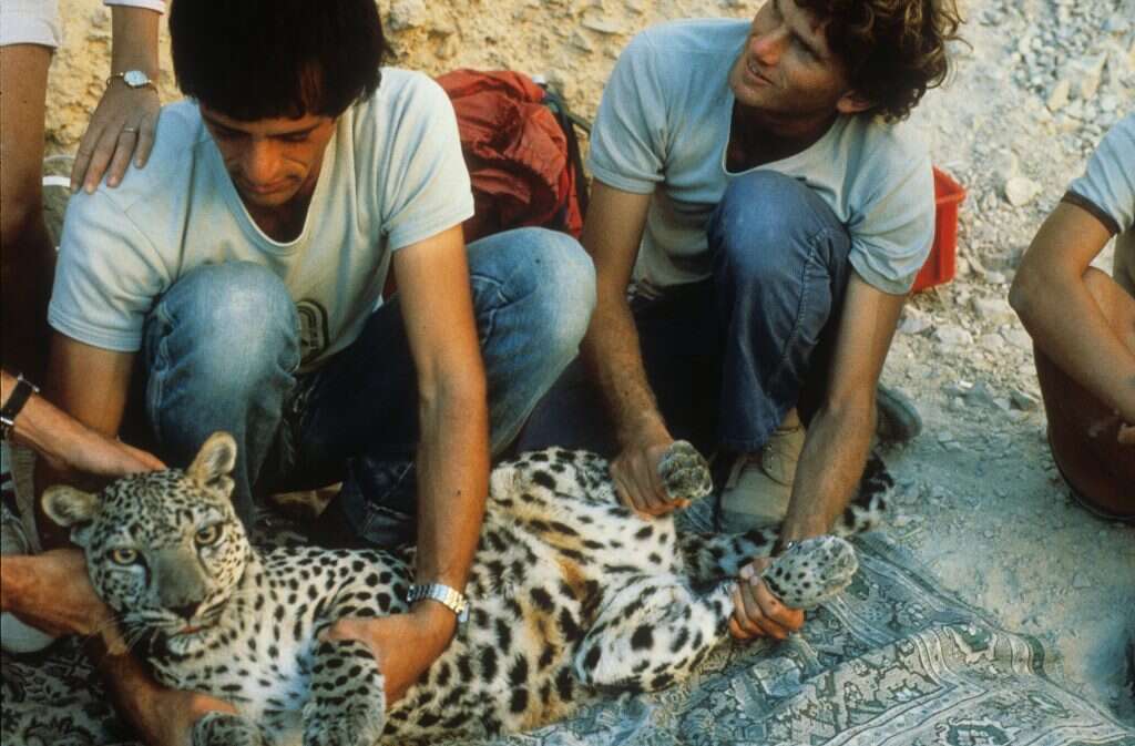 "הכול נראה זוהר. לא העלינו על דעתנו שזה סופו של עידן". אייל ברטוב ויוסי אוד בימי תהילת הנמרים במדבר יהודה. | אייל ברטוב