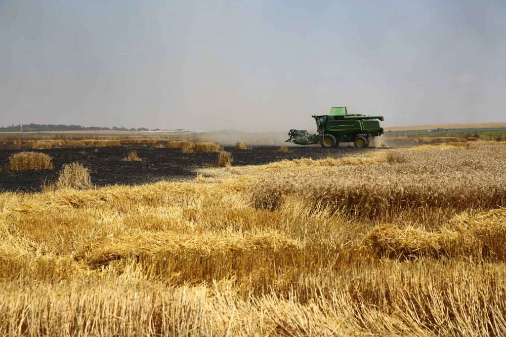 שדה בעוטף עזה לאחר פגיעת בלון תבערה. | לירון מולדובן