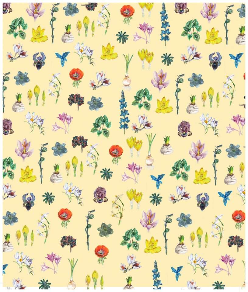 "כאילו כתבתי לעצמי הקטנה". איורים מתוך ספרה של פרופ' פישר