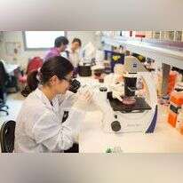 סטודנטים בפקולטה לרפואה בצפת. | דרור ארצי - ג'יני