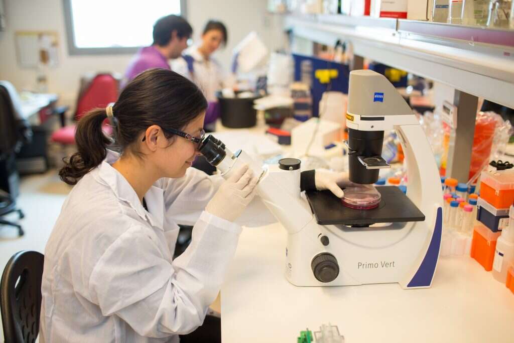 סטודנטים בפקולטה לרפואה בצפת. | דרור ארצי - ג'יני