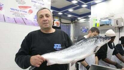 אבי. | יוסי אלוני