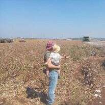 שדה כותנה של קיבוץ פלך. | קיבוץ פלך