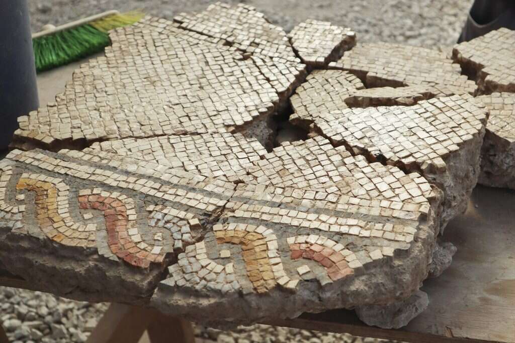 חלקי פסיפס שנמצאו באתר. | ענת רסיוק, רשות העתיקות