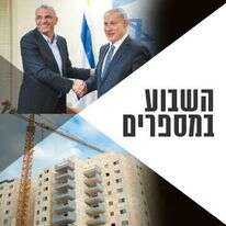 צילומים: שאטרסטוק